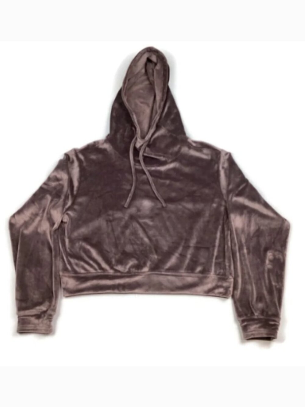 Gilly Hicks Light Purple Velour Crop Hoodie
